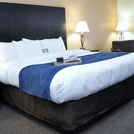Comfort Inn Oak Ridge - Knoxville Pokój zdjęcie