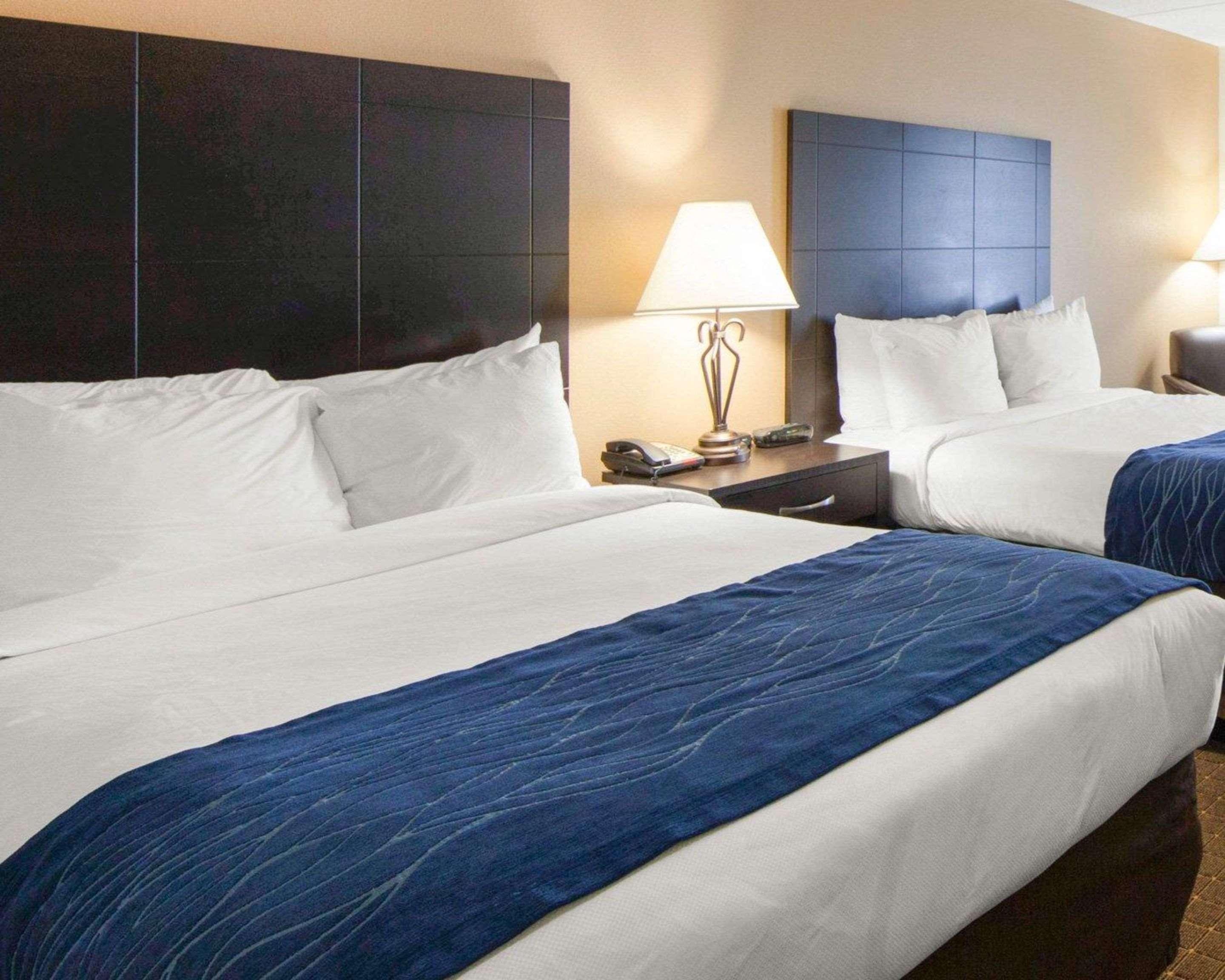 Comfort Inn Oak Ridge - Knoxville Zewnętrze zdjęcie