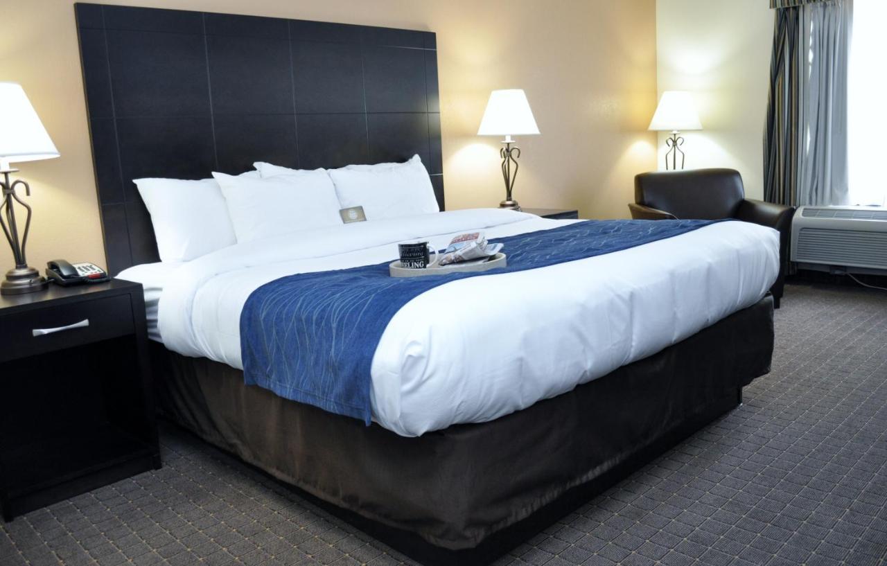 Comfort Inn Oak Ridge - Knoxville Pokój zdjęcie