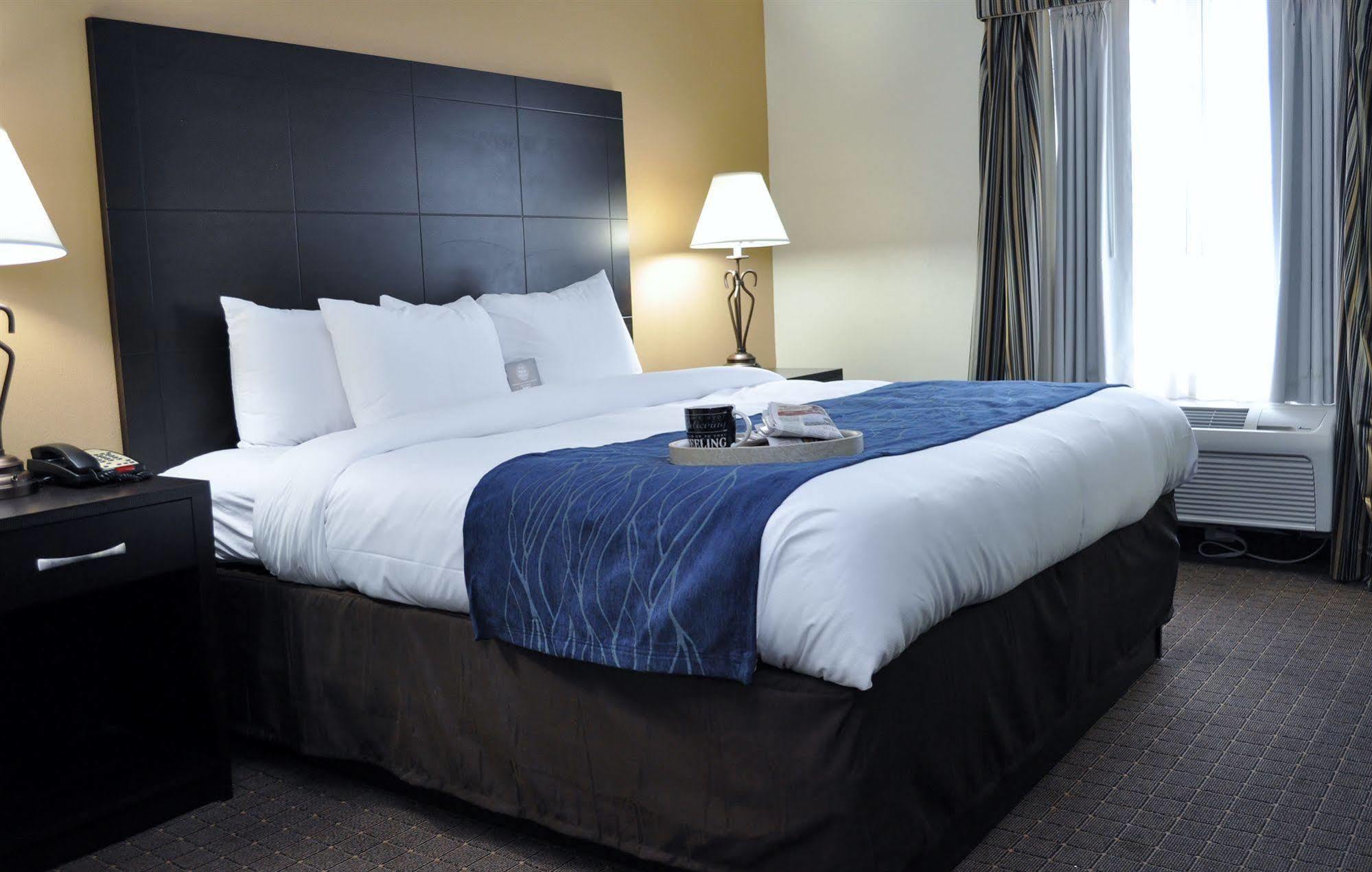 Comfort Inn Oak Ridge - Knoxville Zewnętrze zdjęcie