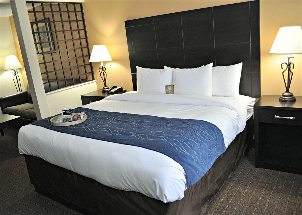 Comfort Inn Oak Ridge - Knoxville Zewnętrze zdjęcie